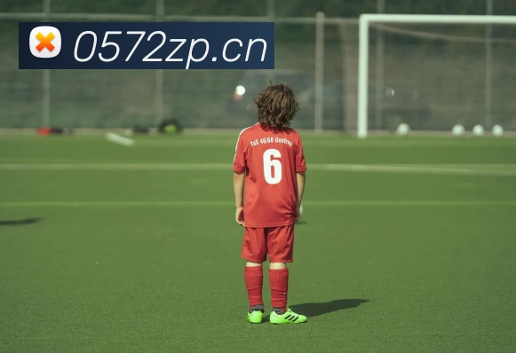 乐竞官网网页版入口APP 封面图